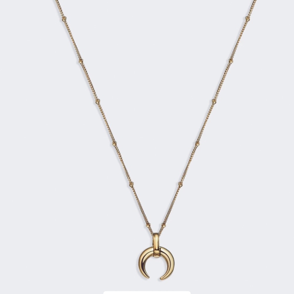 💕 final markdown Amy Crescent Horn Necklacee